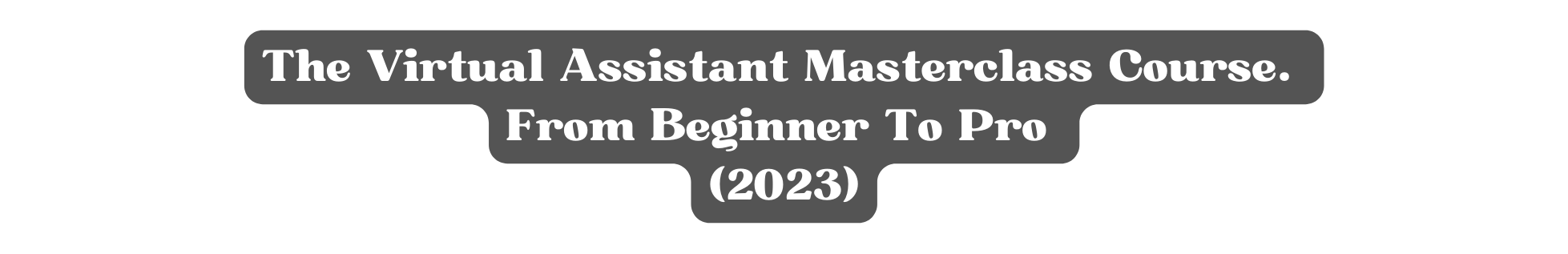 The Virtual Assistant Masterclass Course From Beginner To Pro 2023